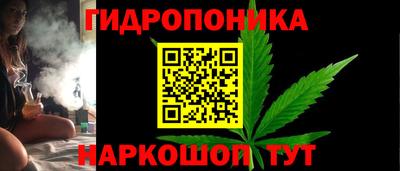 сатива Лесосибирск