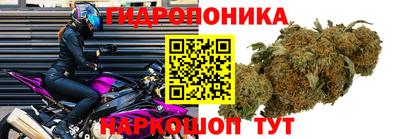 дживик Ликино-Дулёво