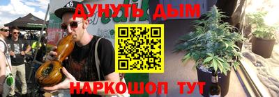 сатива Лесосибирск