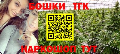 сатива Лесосибирск